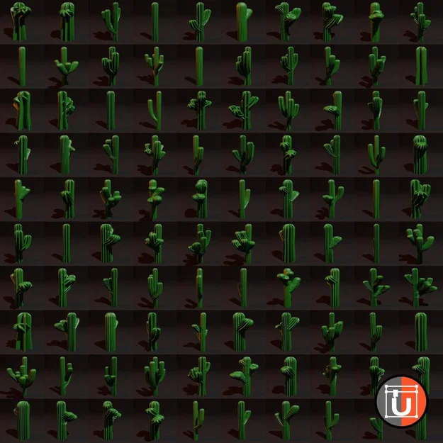 Cây và Xương Rồng (Trees and Cacti) - Image 3