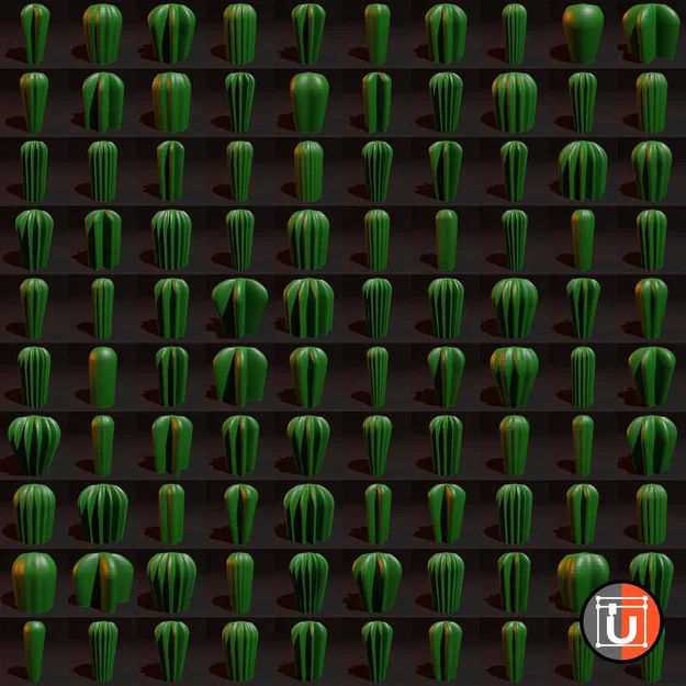 Cây và Xương Rồng (Trees and Cacti) - Image 4