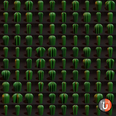 Cây và Xương Rồng (Trees and Cacti)