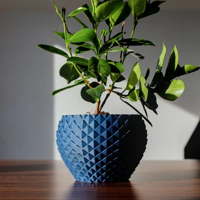 Chậu Cây Họa Tiết Vảy Rồng Độc Đáo - Mẫu In 3D Trang Trí Nhà Cửa