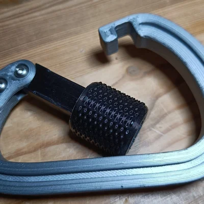 Carabiner có khóa an toàn lò xo (spring loaded secured lock)