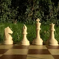 Bộ quân cờ (Chess pieces) in 3D - Thumbnail 1