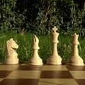 Bộ quân cờ (Chess pieces) in 3D - Thumbnail 2