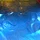 theneedfull_35081