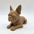 Mô hình chú chó Boston Terrier đang nằm - Thumbnail 1