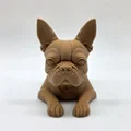 Mô hình chú chó Boston Terrier đang nằm - Thumbnail 3