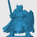Mô hình Dwarven Paladin - Thumbnail 3