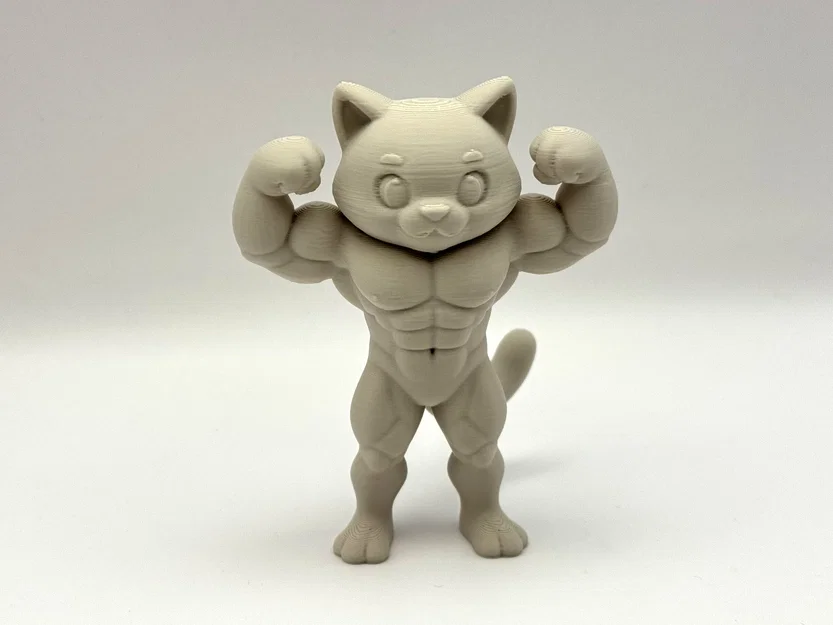 Beefy Cat - Mô hình mèo lực sĩ siêu ngầu - Image 1