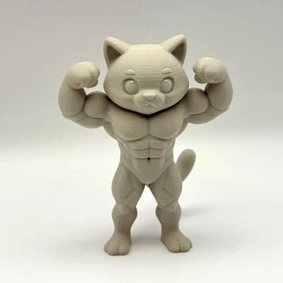 Beefy Cat - Mô hình mèo lực sĩ siêu ngầu