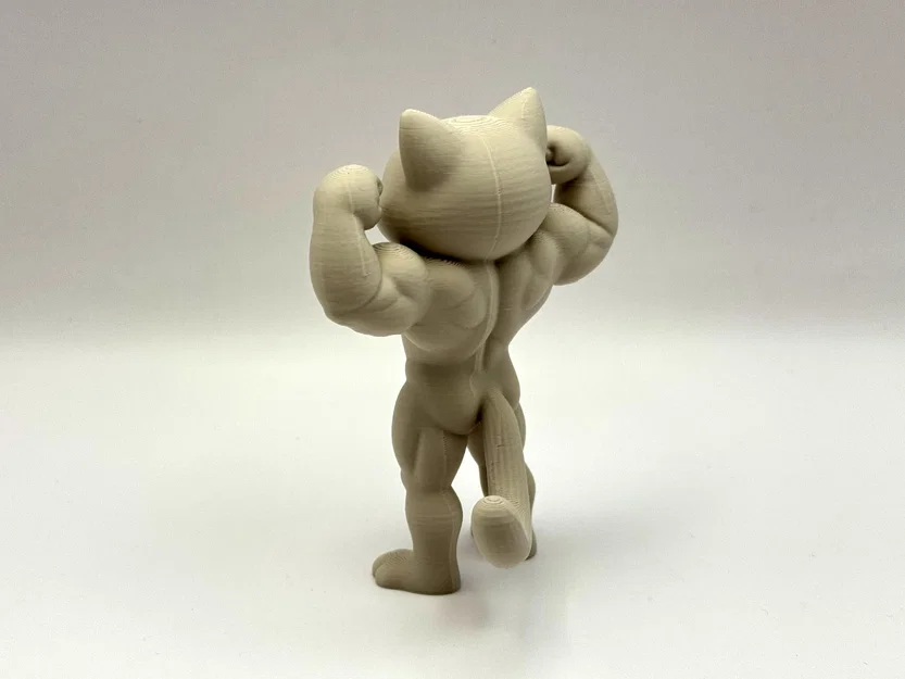 Beefy Cat - Mô hình mèo lực sĩ siêu ngầu - Image 2