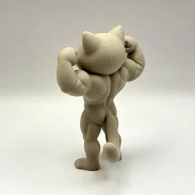 Beefy Cat - Mô hình mèo lực sĩ siêu ngầu