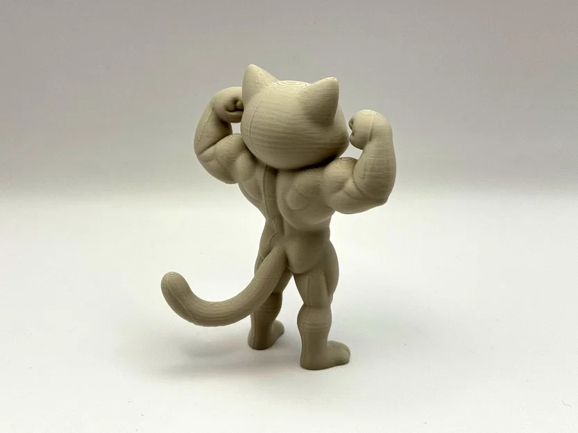 Beefy Cat - Mô hình mèo lực sĩ siêu ngầu - Image 3