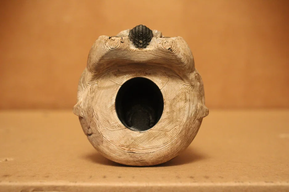 Mô hình còi tử thần Death Trooper kèm đế - Image 6