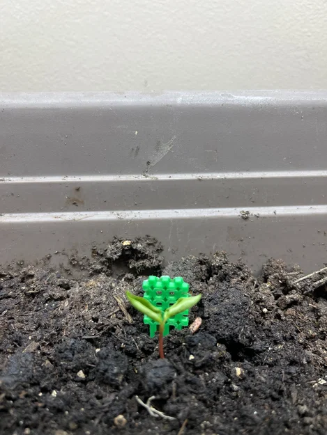 Khung hỗ trợ cây con (Seedling Trellis) in 3D - Phụ kiện cho người làm vườn - Image 1