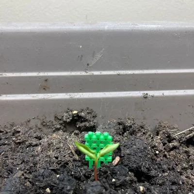 Khung hỗ trợ cây con (Seedling Trellis) in 3D - Phụ kiện cho người làm vườn