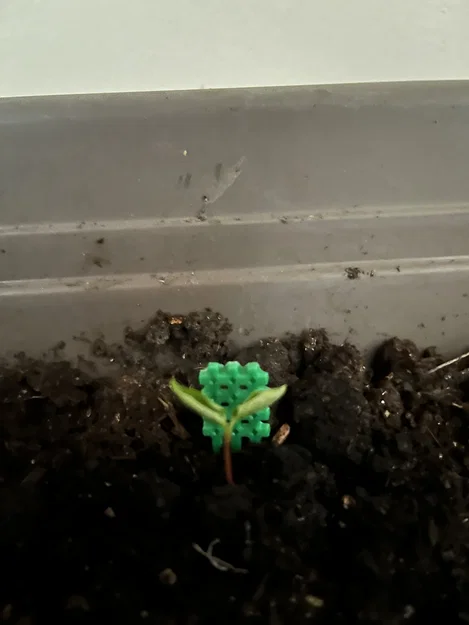 Khung hỗ trợ cây con (Seedling Trellis) in 3D - Phụ kiện cho người làm vườn - Image 2