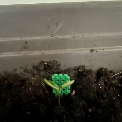 Khung hỗ trợ cây con (Seedling Trellis) in 3D - Phụ kiện cho người làm vườn