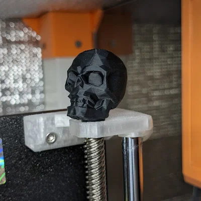 Bộ chỉ báo trục Z hình đầu lâu Lowpoly