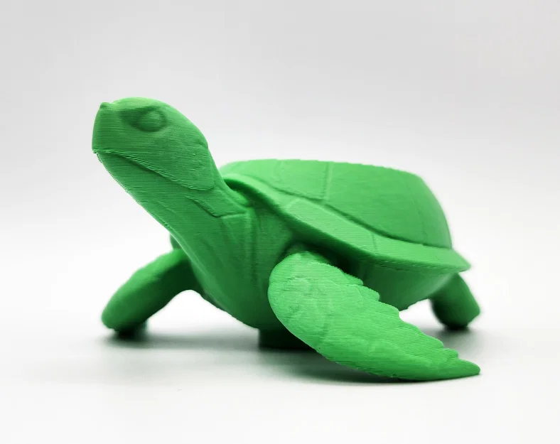 Chậu trồng cây sen đá hình rùa biển 1 - Image 5