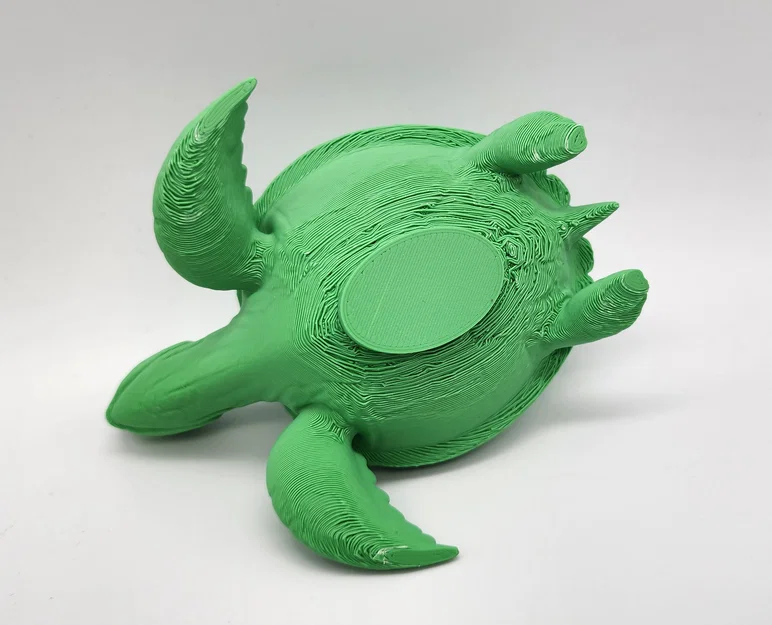 Chậu trồng cây sen đá hình rùa biển 1 - Image 7