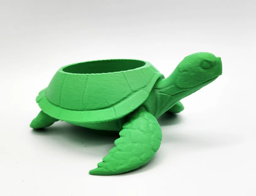 Chậu trồng cây sen đá hình rùa biển 1 - Image 8