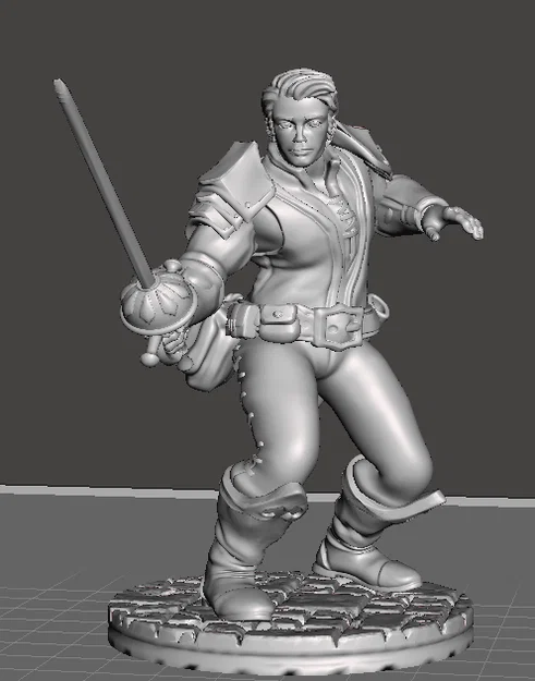 Mô hình Swashbuckler Rogue: Chiến binh kiếm sĩ in 3D cho D&D - Image 1