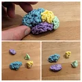 Não Bộ Tách Phần (Brain in Parts) - Thumbnail 1