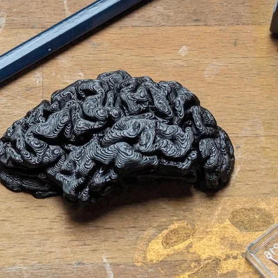 Não Bộ Tách Phần (Brain in Parts)