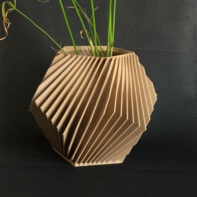 Chậu hoa/cây Dodecahedron – Sọc chéo (POT DE FLEURS - PLANTES DODECADRE-RAYURES OBLIQUES)