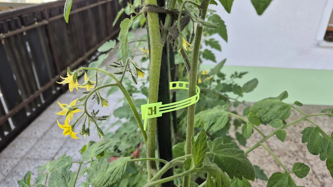 Dây Rút Nhựa Tái Sử Dụng (Reusable Zip Tie) - Image 5