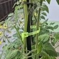 Dây Rút Nhựa Tái Sử Dụng (Reusable Zip Tie) - Thumbnail 5