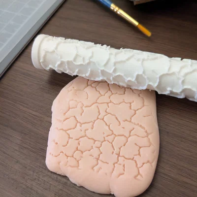 Cây lăn tạo họa tiết - Vân đất nứt nẻ (Cracked Earth Pattern)