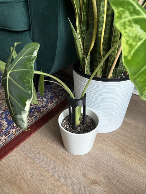 Phụ kiện đỡ cây cảnh (Plant Holder) 16,5 cm in 3D tinh tế - Image 1