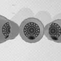 Chậu/Bình hoa tự tưới dạng Tháp Lâu Đài (Self-watering Flower Pot / Vase Castle Tower) - Thumbnail 4