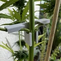 Plant bender - Pflanzenbieger (dụng cụ bẻ/cúi nhánh cây) - Thumbnail 1