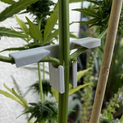 Plant bender - Pflanzenbieger (dụng cụ bẻ/cúi nhánh cây)
