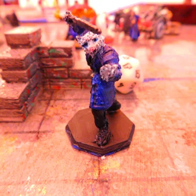 Tabaxi Rogue (Swashbuckler) – Miniature D&D
