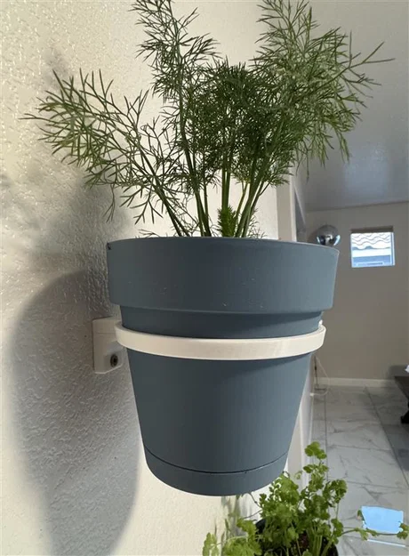 Giá treo chậu cây ốp tường - Image 2