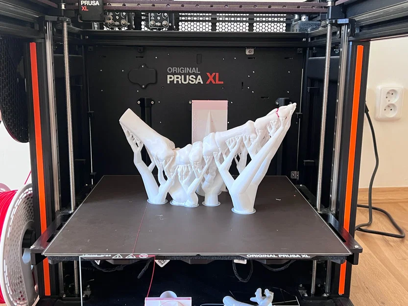 Mô hình cẳng chân linh hoạt kích thước thật phục vụ giáo dục - Image 2