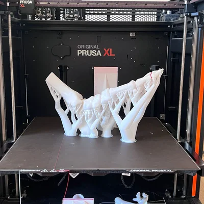 Mô hình cẳng chân linh hoạt kích thước thật phục vụ giáo dục