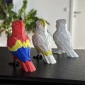 Chú Vẹt Low Poly Dễ Thương (Không Cần Support) - Thumbnail 4