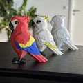 Chú Vẹt Low Poly Dễ Thương (Không Cần Support) - Thumbnail 5