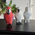 Chú Vẹt Low Poly Dễ Thương (Không Cần Support) - Thumbnail 6