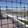 gokartdriver_941833