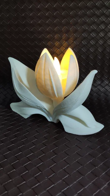 Tulip - Đế cắm nến LED tea light - Image 4
