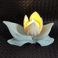 Tulip - Đế cắm nến LED tea light - Thumbnail 7