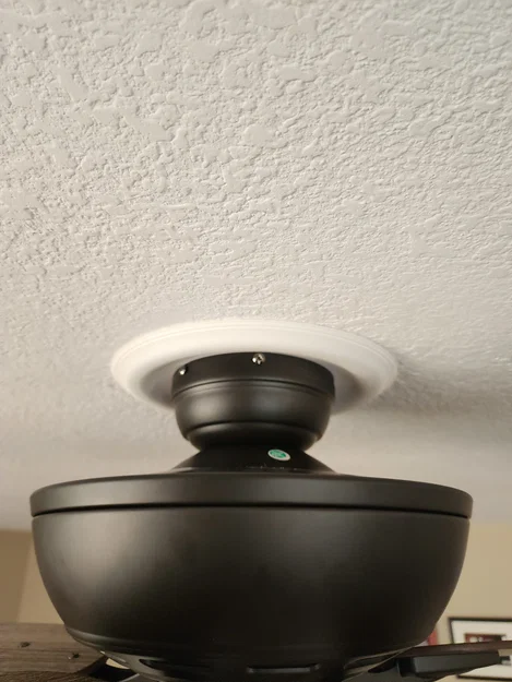 Tấm ốp trần trang trí 10 inch cho đèn điện (Ceiling Medallion) - Image 4