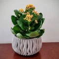 Chậu cây hiện đại (Modern planter) - Thumbnail 2