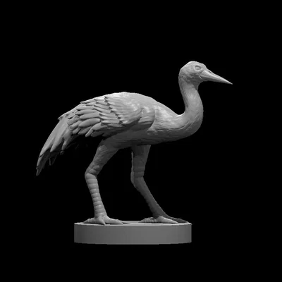 Con Sếu (Crane) – mô hình chim