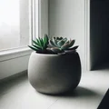 Chậu Cây Tròn Hiện Đại Cho Sen Đá (Modern Succulent Plantpot) - Thumbnail 1